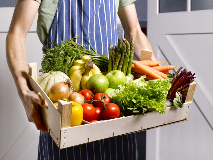 alimentos orgânicos sendo transportados em uma cesta